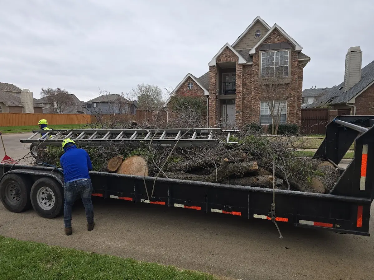 Expert Tree Fertilization with proper safety equipment in Horton